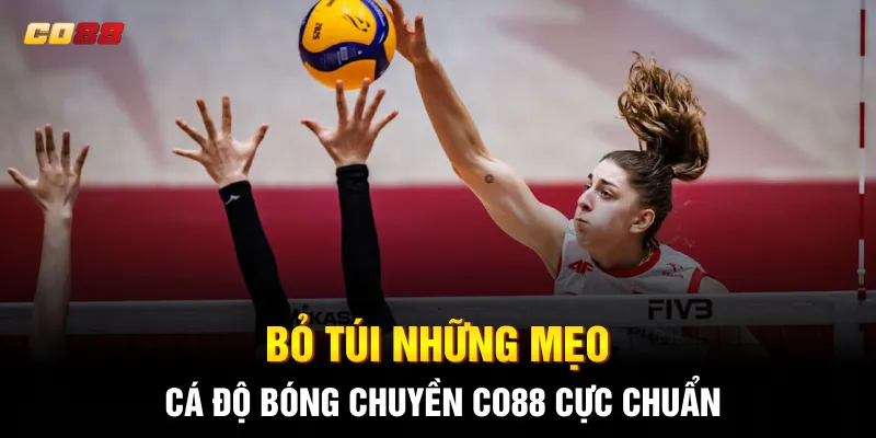Bỏ túi những mẹo cá độ bóng chuyền CO88 cực chuẩn