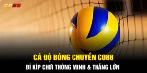 Cá Độ Bóng Chuyền CO88: Bí Kíp Chơi Thông Minh & Thắng Lớn