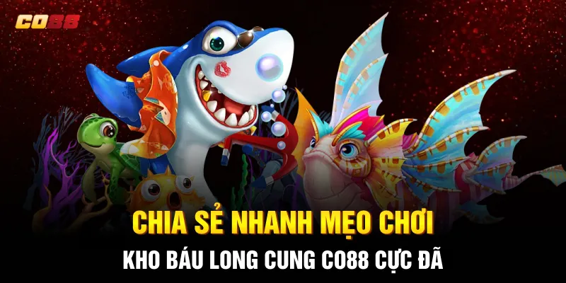 Chia sẻ nhanh mẹo chơi Kho Báu Long Cung CO88 cực đã Chia sẻ nhanh mẹo chơi Kho Báu Long Cung CO88 cực đã