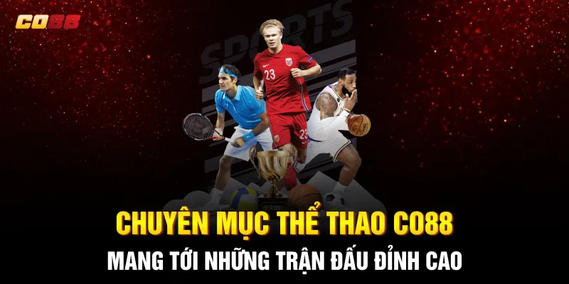 Chuyên mục thể thao CO88 mang tới những trận đấu đỉnh cao