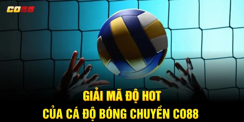 Giải mã độ hot của cá độ bóng chuyền CO88