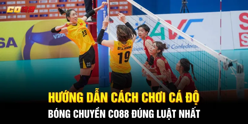 Hướng dẫn cách chơi cá độ bóng chuyền CO88 đúng luật nhất