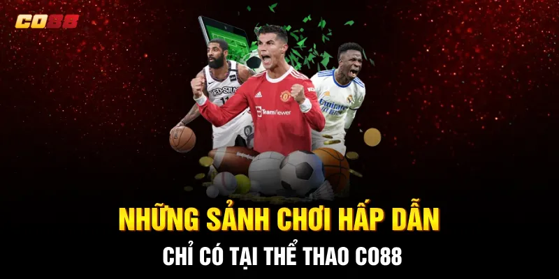 Những sảnh chơi hấp dẫn chỉ có tại thể thao CO88